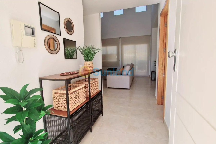 Ny bygg - Villa - Lorca - Purias