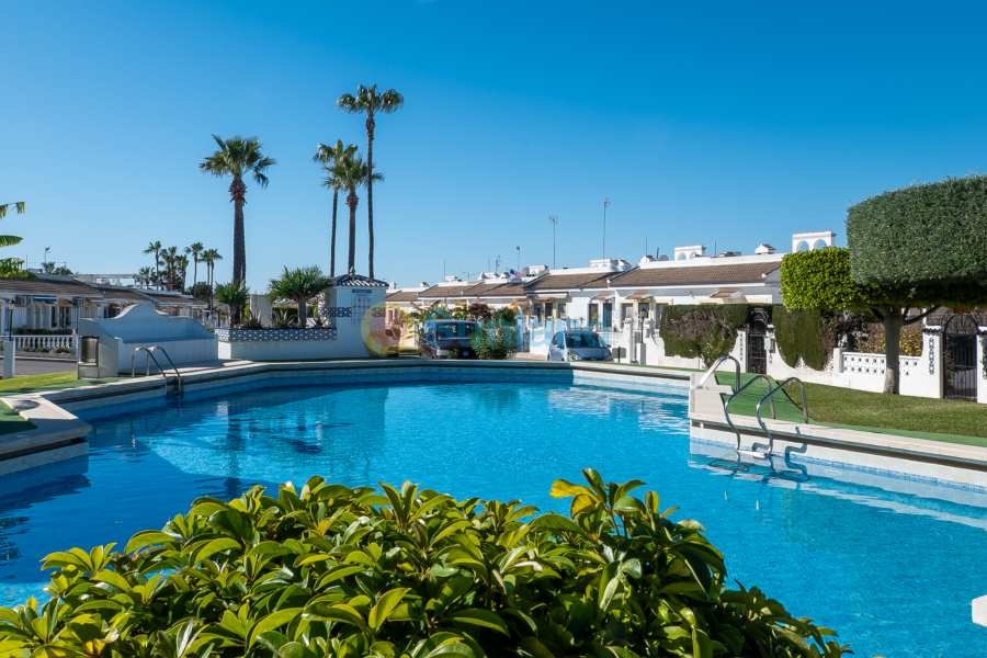 Segunda mano - Adosado - Ciudad Quesada - Pueblo Bravo