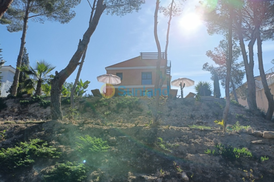 Verkauf - Haus - Pinar De Campoverde - 