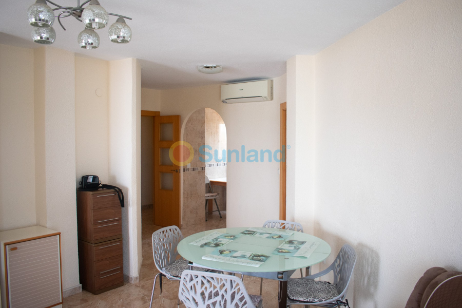 Segunda mano - Apartamento - Torrevieja - Playa Los Locos