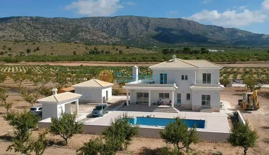 Ny bygg - Villa - Pinoso - Camino Del Prado