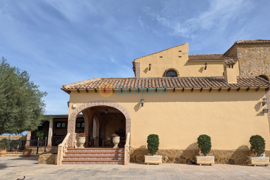 Segunda mano - Detached Villa - Bigastro