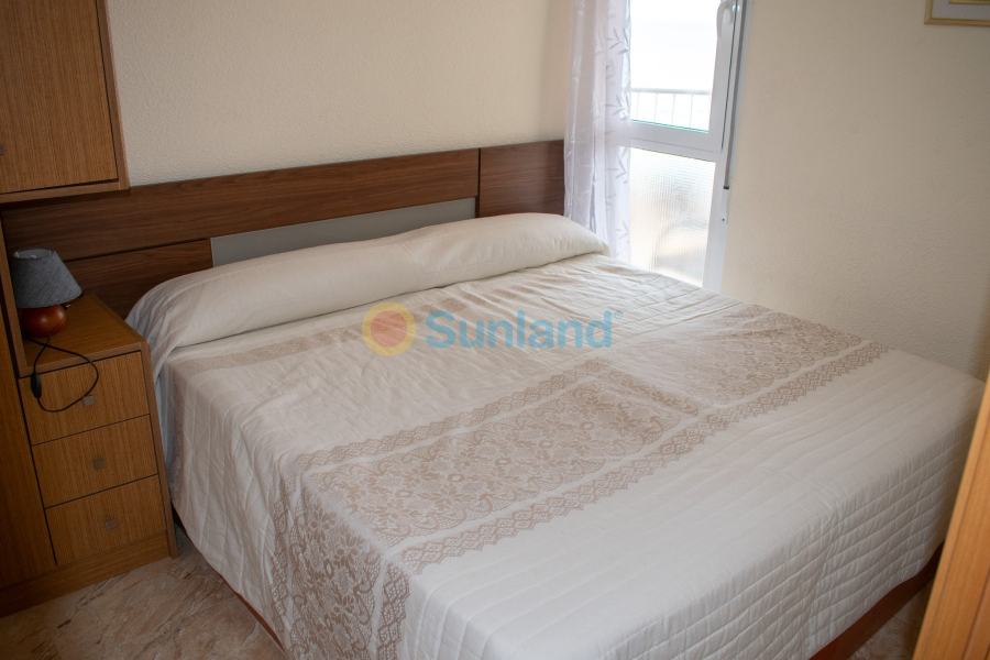Segunda mano - Apartamento - Torrevieja - Playa Los Locos