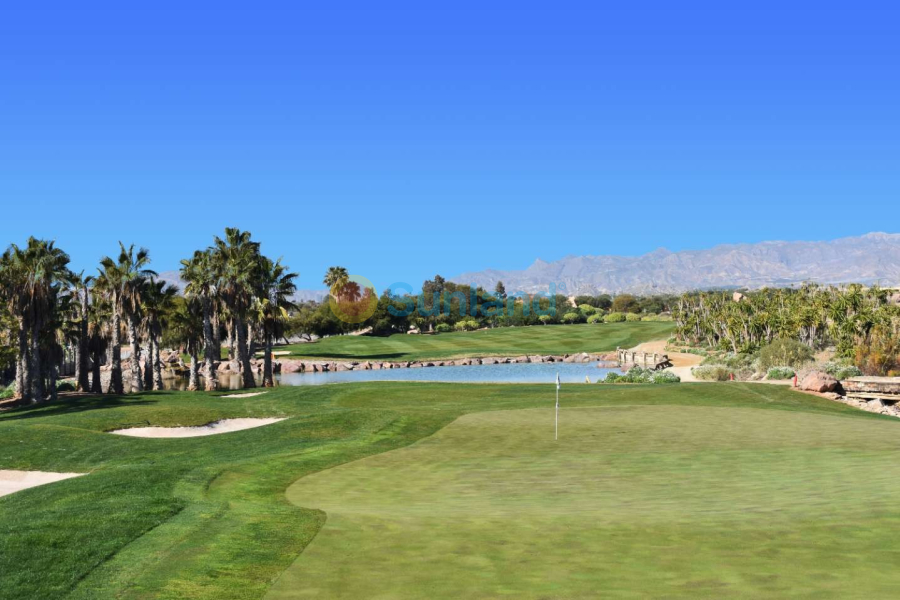 New Build - Villa - Cuevas del Almanzora - Villaricos