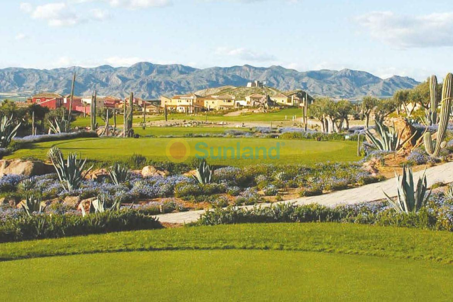 Ny bygg - Villa - Cuevas Del Almanzora - Desert Springs Golf Club