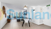 Segunda mano - Apartamento - Orihuela Costa - Punta Prima