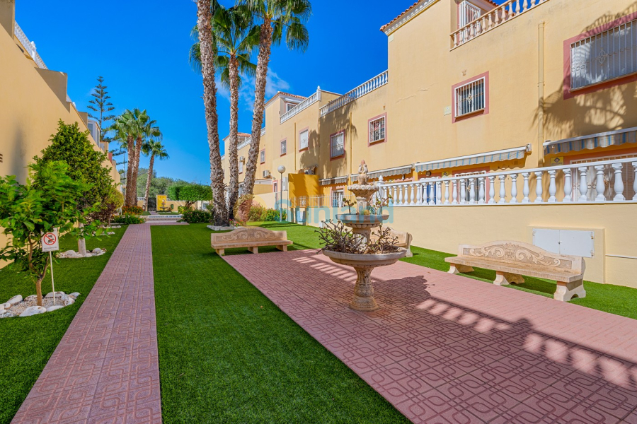 Resale - Apartment - San Miguel de Salinas - Orihuela Costa