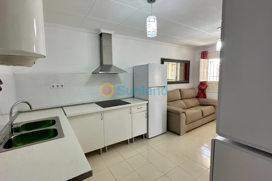 Använda fastigheter - Villa - San Fulgencio