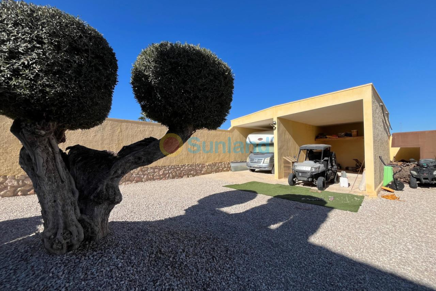 Resale - C - Fortuna - 