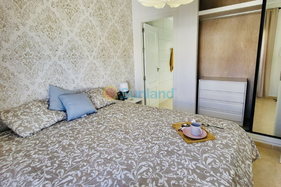 Segunda mano - T - San Miguel De Salinas