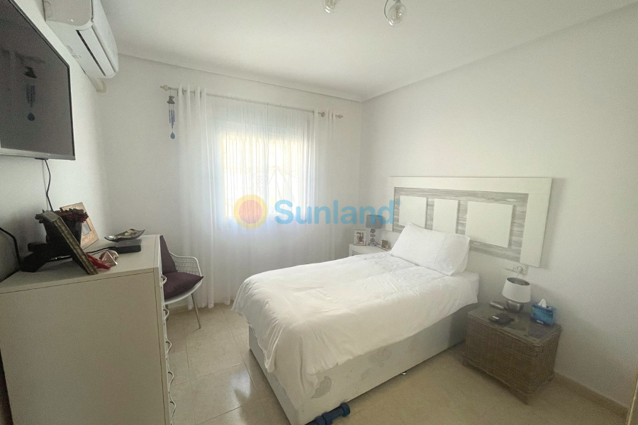 Segunda mano - Semi-detached - Ciudad Quesada - Doña Pepa