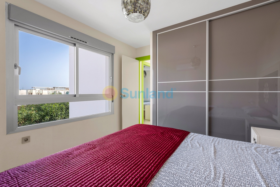 Segunda mano - Chalet - Ciudad Quesada