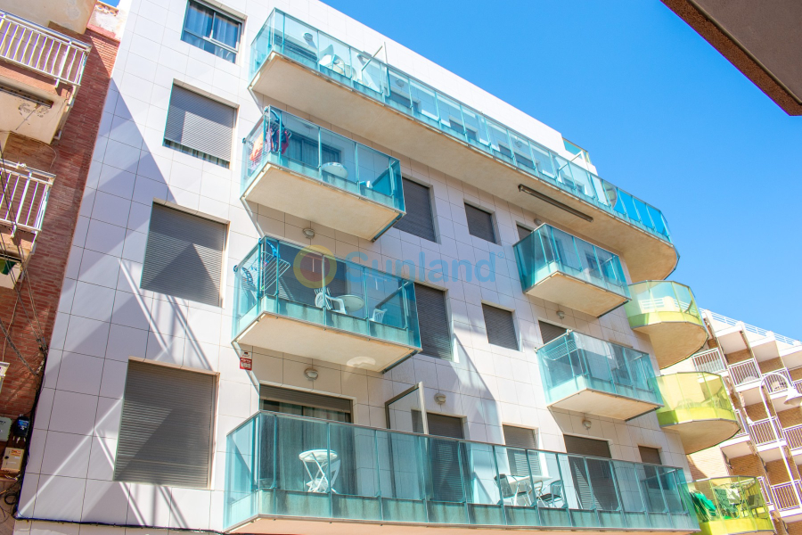 Brukte eiendommer - Leilighet - Guardamar del Segura