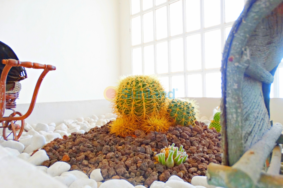 Вторичка - V - Cabo Roig