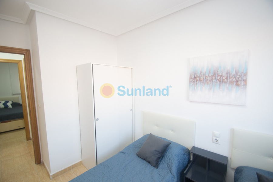 Segunda mano - Apartamento - Orihuela - San Isidro