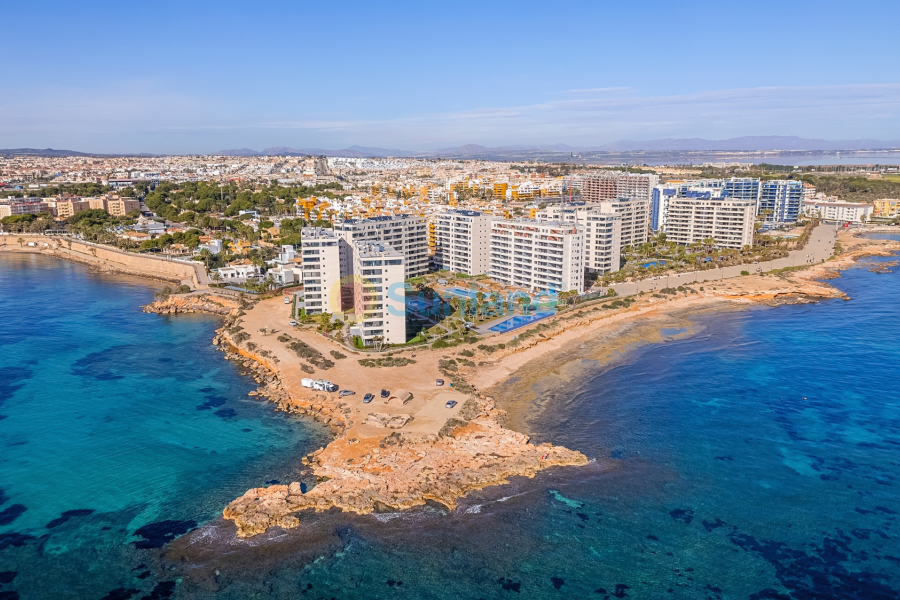 Segunda mano - Apartamento - Orihuela Costa - Punta Prima