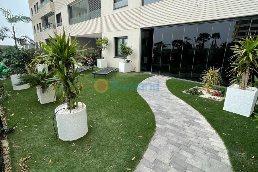 Segunda mano - Apartamento - Torrevieja - Punta Prima