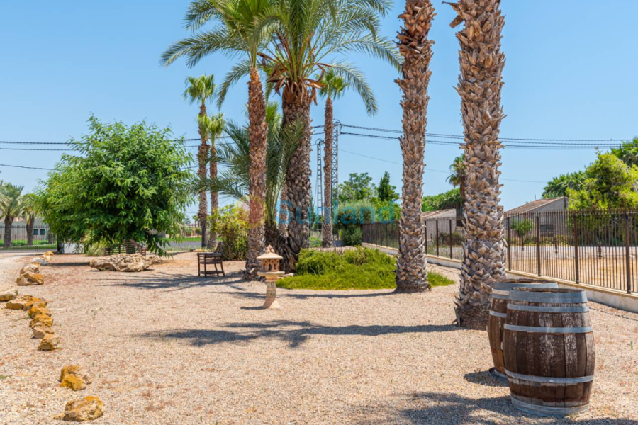 Brukte eiendommer - Country house - Catral