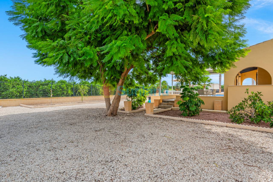 Segunda mano - Country house - Rafal