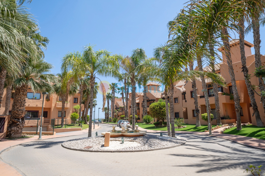 Brukte eiendommer - Duplex - Los Alcázares - Los Montesinos