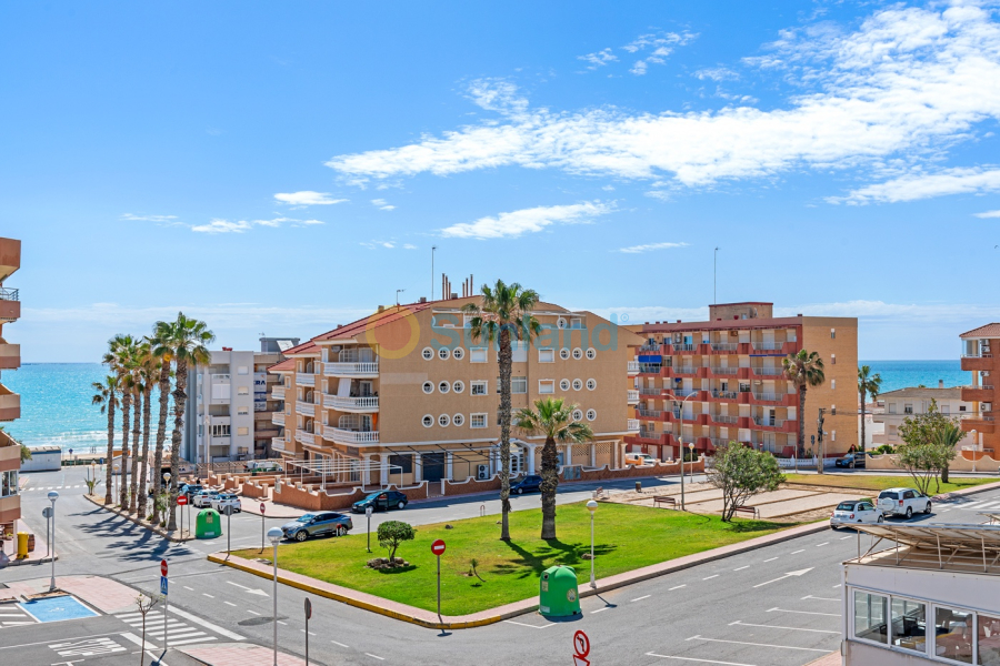 Resale - Apartment - Guardamar del Segura - Guardamar Del Segura