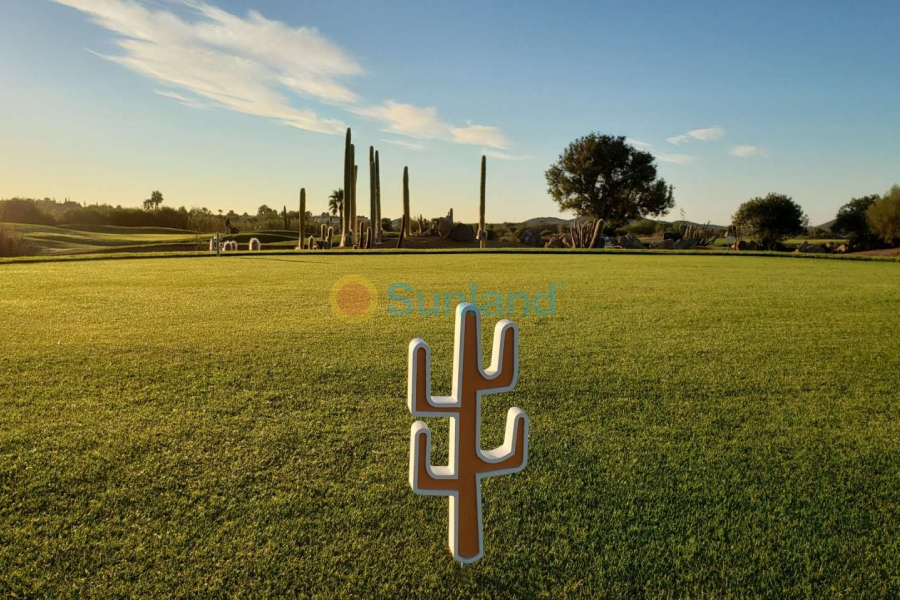 New Build - Villa - Cuevas del Almanzora - Villaricos