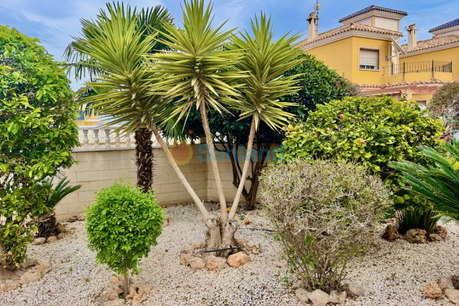 Segunda mano - Chalet - Algorfa - Lo Crispin