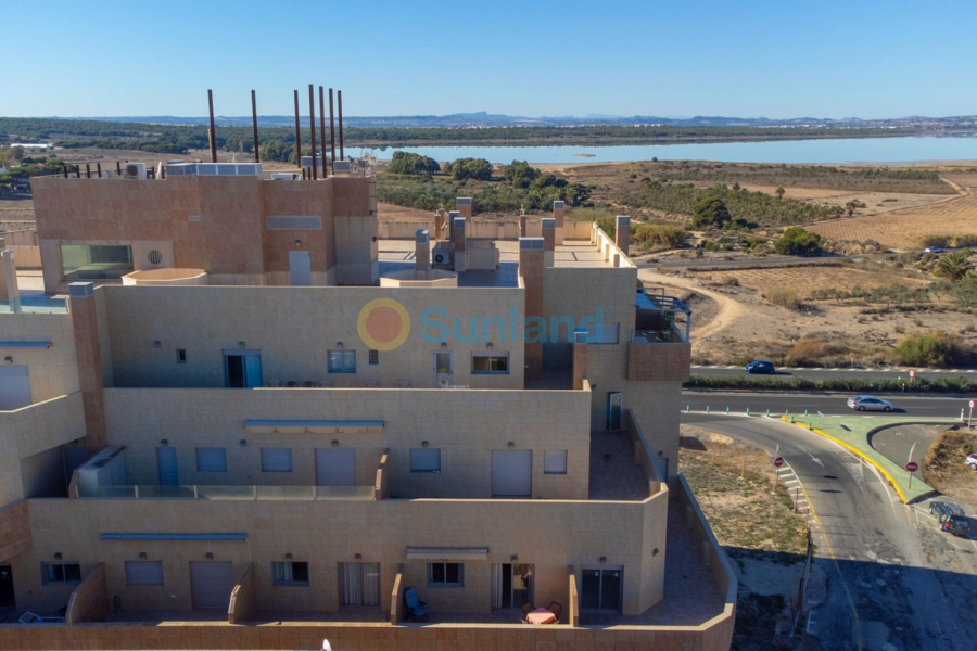 Brukte eiendommer - Apartment / flat - Torrevieja - La Mata pueblo