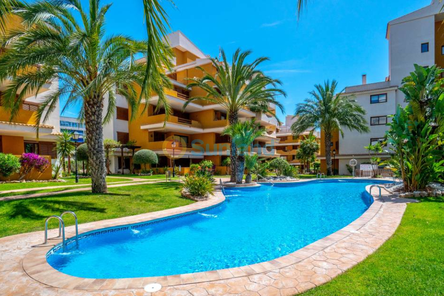 Resale - Apartment - Punta Prima - 