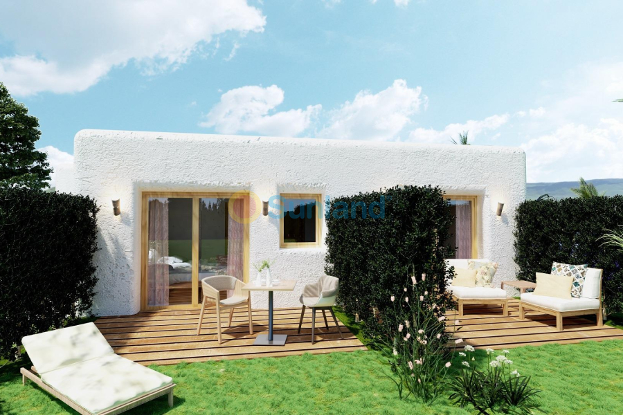 Ny bygg - Villa - Pinoso - Rodriguillo