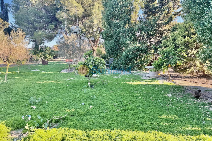 Resale - Country house - Guardamar del Segura - 