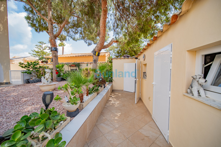 Verkauf - Haus - Orihuela Costa - La Florida