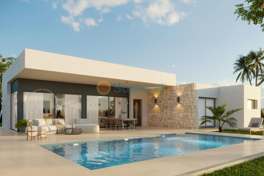 New Build - Villa - Aspe - Poligono 19