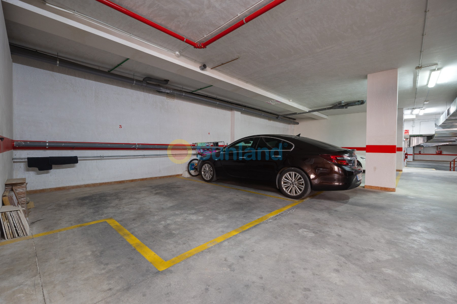 Segunda mano - Adosado - Orihuela Costa - Los Dolses