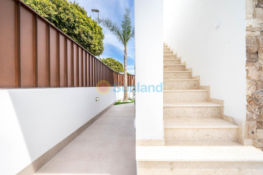 New Build - Villa - Torre Pacheco - Roldán