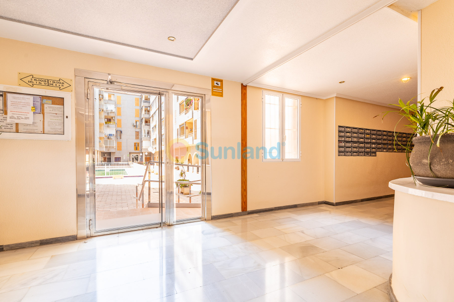 Segunda mano - Ático - Torrevieja - Acequion