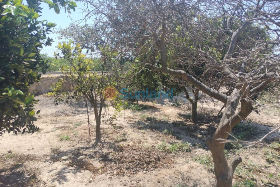 Resale - Country house - Rojales - 