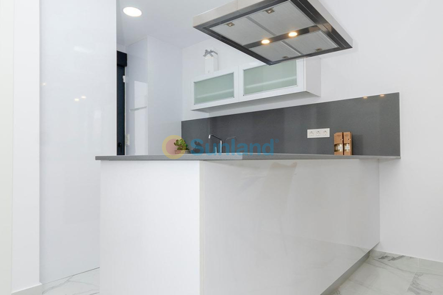 Ny bygg - Villa - Torrevieja - Torretas