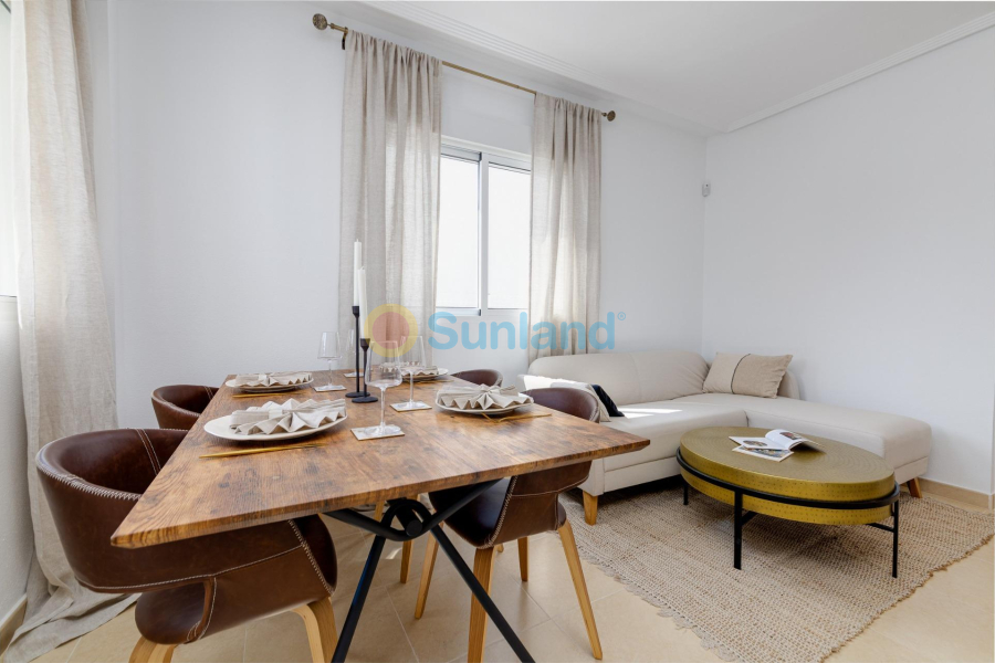 Ny bygg - Semidetached - San Fulgencio - El Oasis