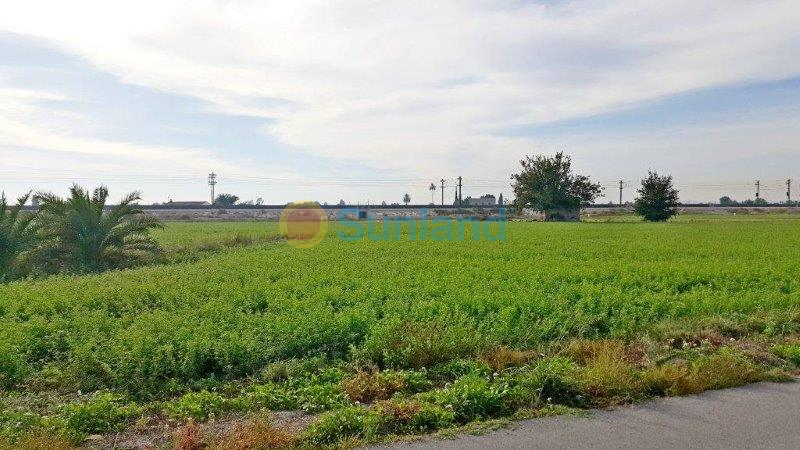 Resale - Finca - Callosa De Segura