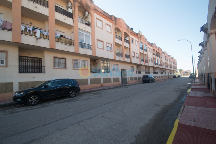 Segunda mano - Apartamento - Orihuela - San Isidro
