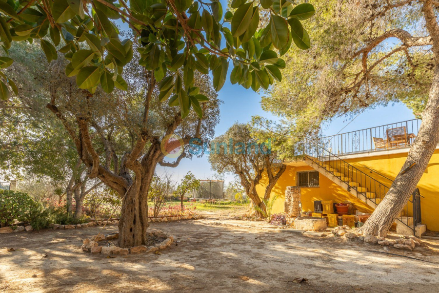 Brukte eiendommer - Villa - Los Montesinos