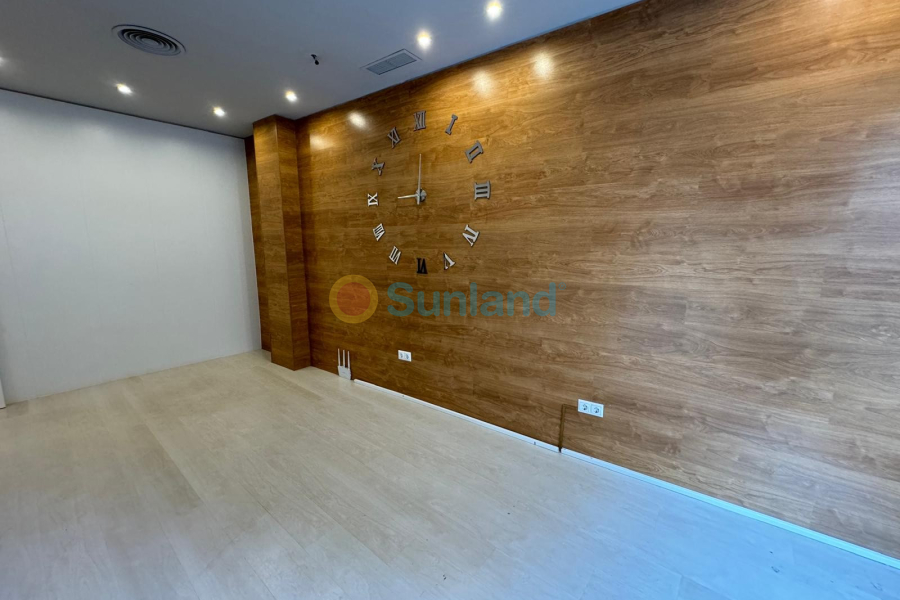 Använda fastigheter - Commercial space - Guardamar del Segura