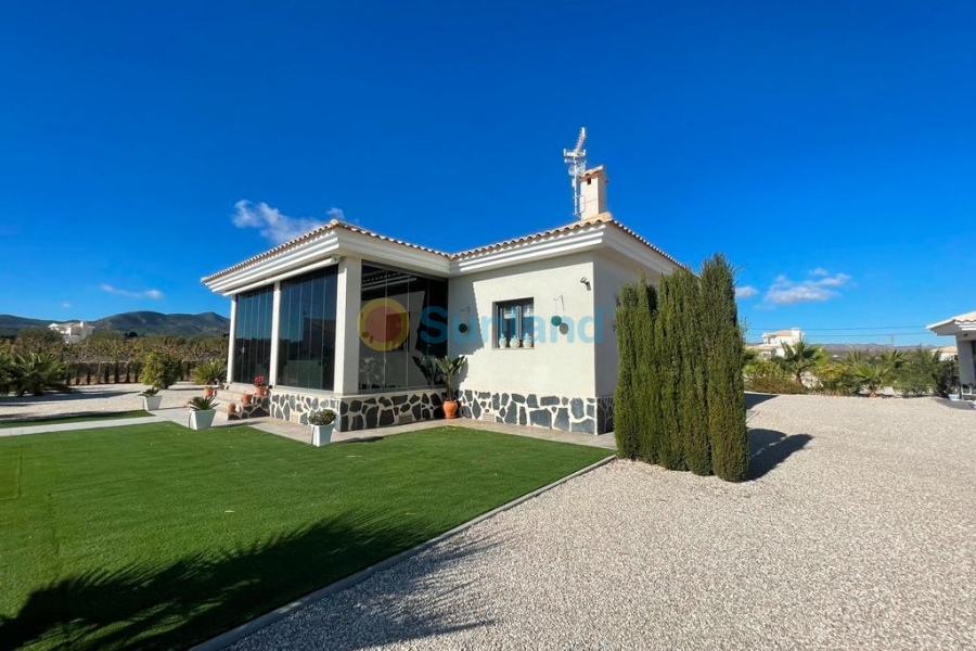 New Build - Villa - Pinoso - Camino Del Prado