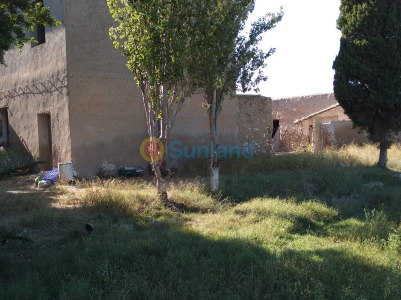 Resale - Finca - Callosa De Segura