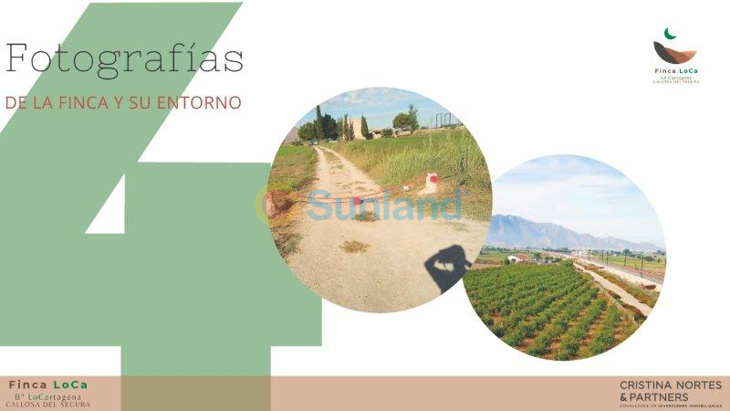 Resale - Finca - Callosa De Segura