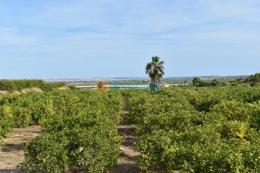 Resale - V - Torremendo