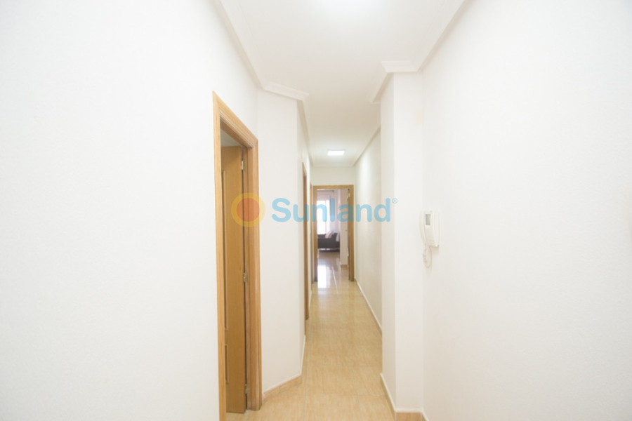 Segunda mano - Apartamento - Orihuela - San Isidro