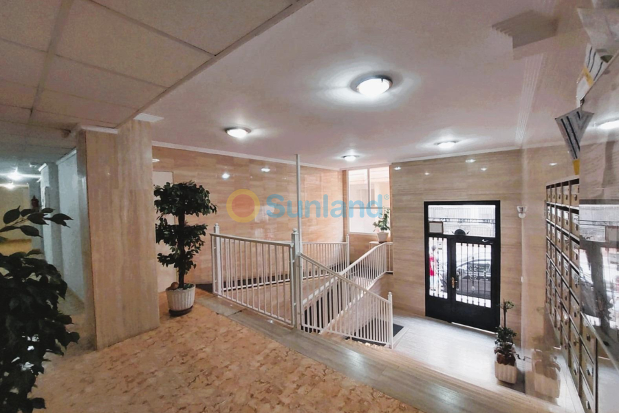 Segunda mano - A - Torrevieja - Centro