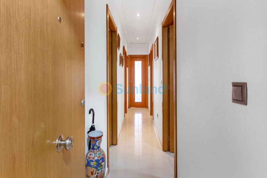 Brukte eiendommer - Apartment / flat - Torrevieja - La Mata pueblo